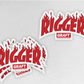 RIGGER - Flame Series Hard Hat Sticker